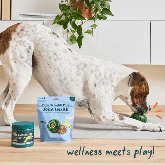 Pupsicle Everyday Wellness Pops Refills – Long Lasting Dog Treats for Joint, Calm, Allergy & Whole Body Health - WO2AC - Joint - Small - 6 oz - 13