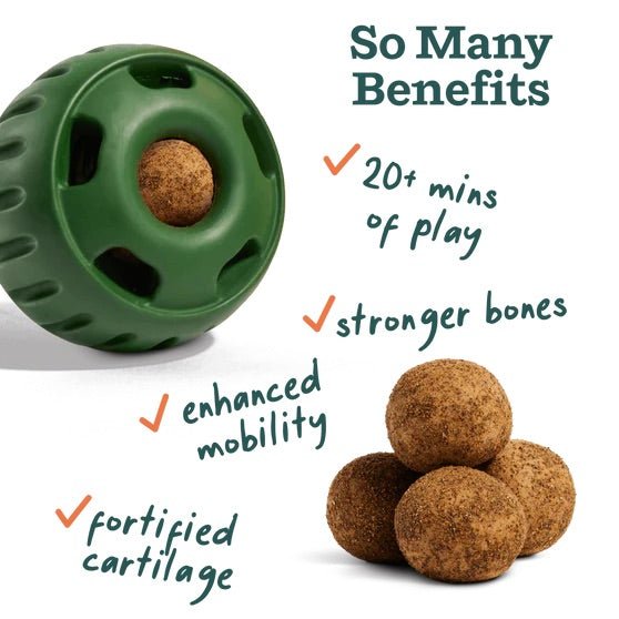 Pupsicle Everyday Wellness Pops Refills – Long Lasting Dog Treats for Joint, Calm, Allergy & Whole Body Health - WO2AC - Joint - Small - 6 oz - 10