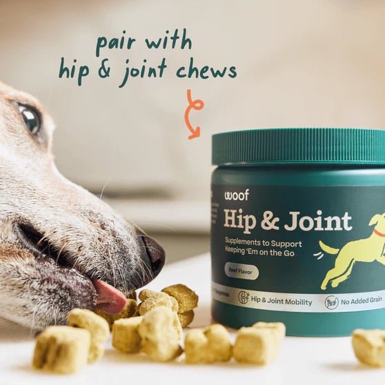 Pupsicle Everyday Wellness Pops Refills – Long Lasting Dog Treats for Joint, Calm, Allergy & Whole Body Health - WO2AC - Joint - Small - 6 oz - 12
