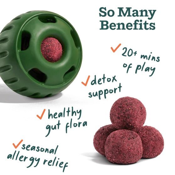 Pupsicle Everyday Wellness Pops Refills – Long Lasting Dog Treats for Joint, Calm, Allergy & Whole Body Health - WO2AF - Allergies & Immune - Small - 6 oz - 18