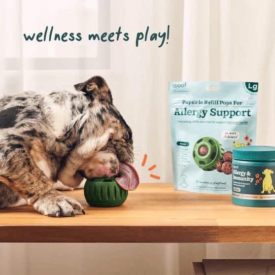 Pupsicle Everyday Wellness Pops Refills – Long Lasting Dog Treats for Joint, Calm, Allergy & Whole Body Health - WO2AF - Allergies & Immune - Small - 6 oz - 19