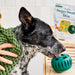 Pupsicle Pops Flavored Treat Mix - WO2BH - Dental Mix - Kelp & Coconut - 5.5 oz - 11