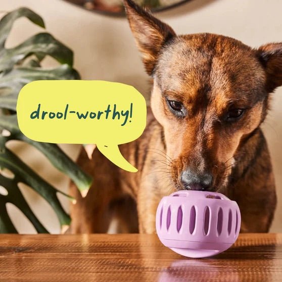 Pupsicle Treat Dispensing Dog Toy – Interactive, Long - Lasting Chew & Puzzle Toy for Dogs - WO2BZ - X - Large - Lavender - 1 ct - 21
