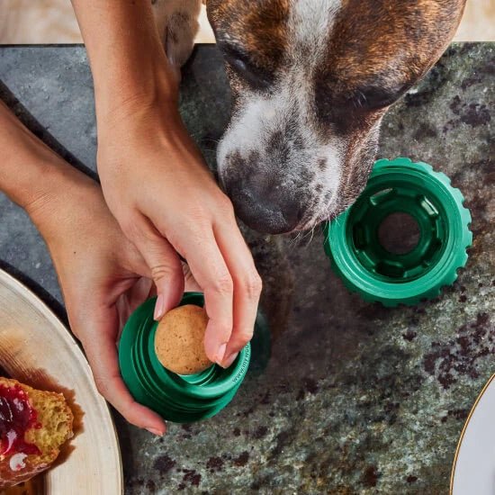 Pupsicle Treat Dispensing Dog Toy – Interactive, Long - Lasting Chew & Puzzle Toy for Dogs - WO2C - Large - Green - 1 ct - 14