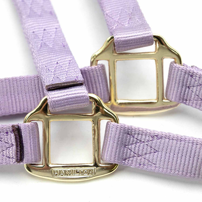 Quality Adjustable 1" Nylon Large Horse Halter - MBR5 - Violet - 1"W (Adjusts 11 - 16") - 1 - 4