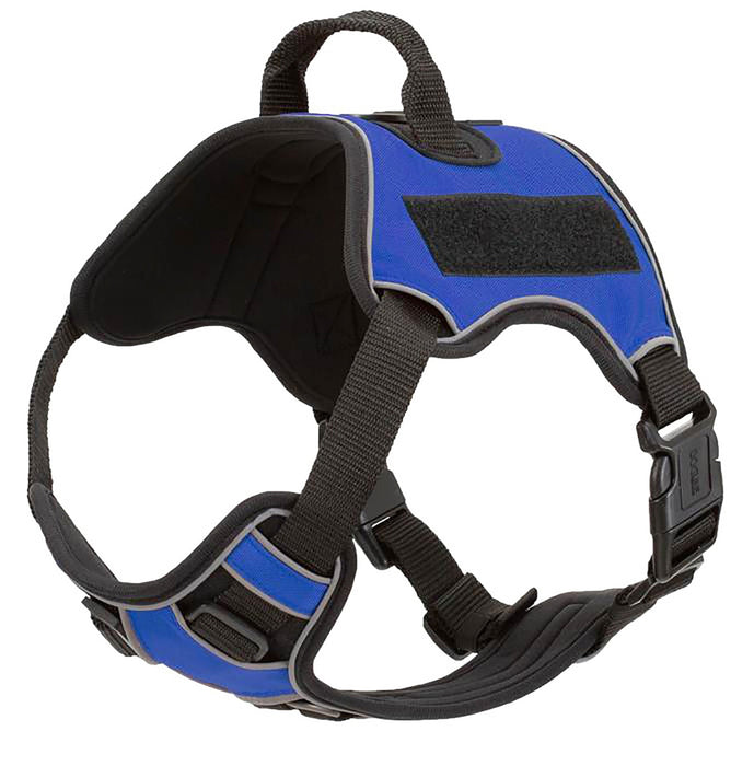Quest Multi - Purpose Harness, XSmall - Jeffers - Dog Supplies > Dog Apparel > Dog Collars, Harnesses, & Leashes