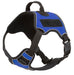 Quest Multi - Purpose Harness, XSmall - Jeffers - Dog Supplies > Dog Apparel > Dog Collars, Harnesses, & Leashes