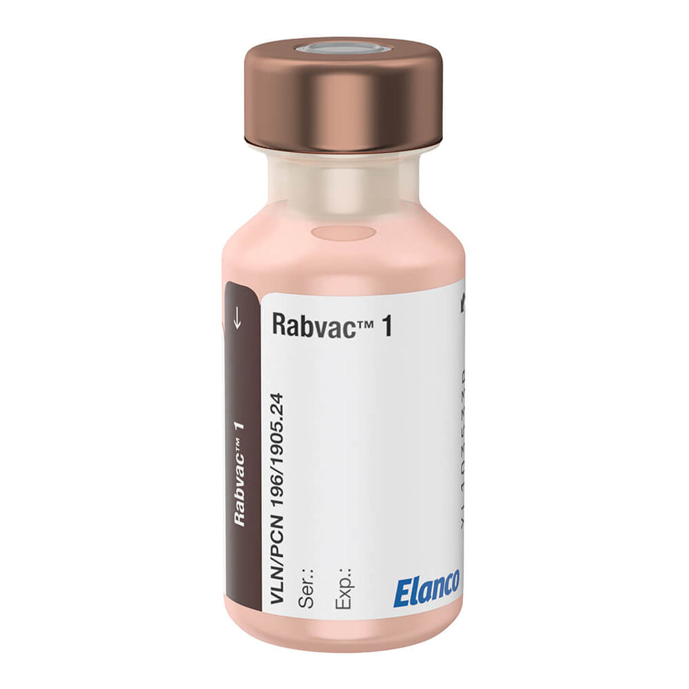 Rabvac 1 Rabies Vaccine for Dogs and Cats — Lambert Vet Supplies
