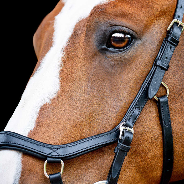 Rambo 2.0 Micklem Competition Leather Horse Bridle with Reins - FO505 - Black - Cob - 8