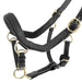 Rambo Micklem Leather Pony & Horse Halter – Anatomical Comfort Fit, Adjustable & Safe - FO1UQ - Black - Cob - 8