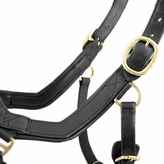 Rambo Micklem Leather Pony & Horse Halter – Anatomical Comfort Fit, Adjustable & Safe - FO1UQ - Black - Cob - 6