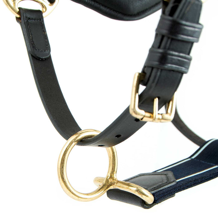 Rambo Micklem Leather Pony & Horse Halter – Anatomical Comfort Fit, Adjustable & Safe - FO1UQ - Black - Cob - 7