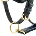 Rambo Micklem Leather Pony & Horse Halter – Anatomical Comfort Fit, Adjustable & Safe - FO1UQ - Black - Cob - 7