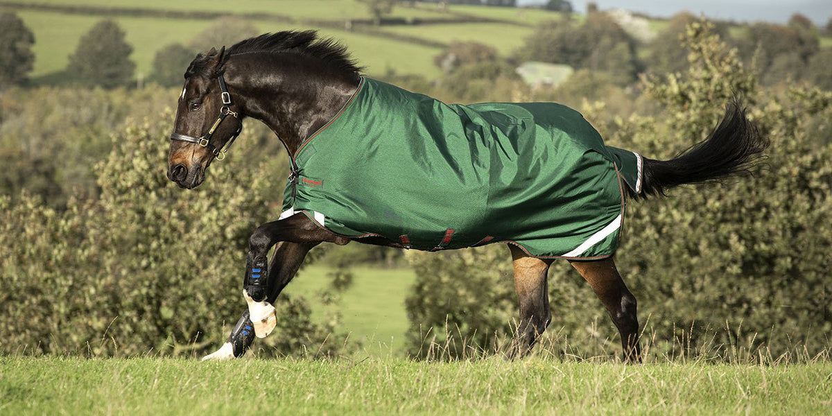 Rambo Original with Leg Arches for Horses, 100 Gram, Green/Red ...