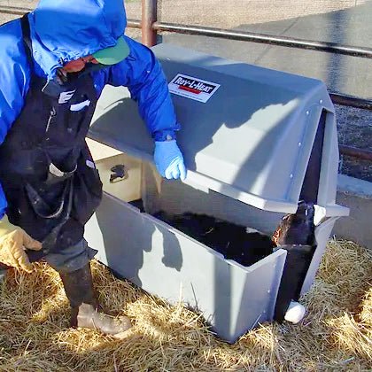 Roy - L - Heat Calf Warmer Box - SKAA - 2