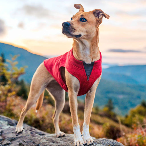 Kurgo K9 Core Dog Sweater - RP1DB - Heather Red - XSmall - 19