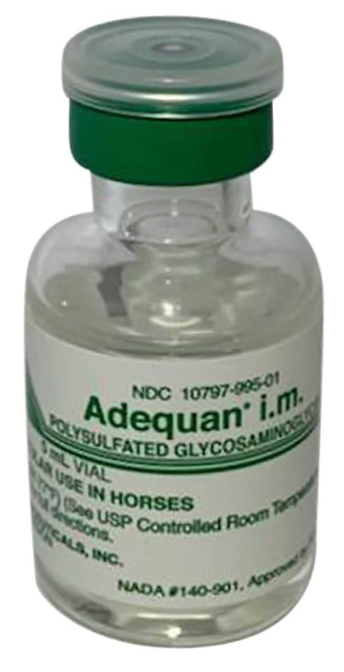 igf 1 lr3 0.1 mg IGF-LR3 - 1mg igf 1 lr3 0.1 mg IGF-LR3 - 1mg