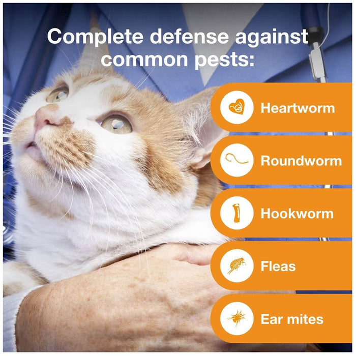Cat Rx Rx Advantage Multi for Cats for Flea and Tick Treatment — Lambert Vet ...