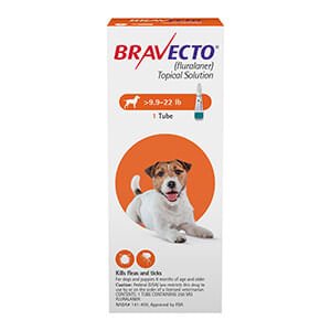 Rx Biomox Oral Suspension for Dogs, 50mg/ml x 15 ml bottle — Lambert ...