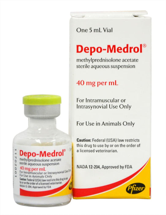 DepoMedrol Injection for Dogs, Cats & Horses — Lambert Vet Supplies