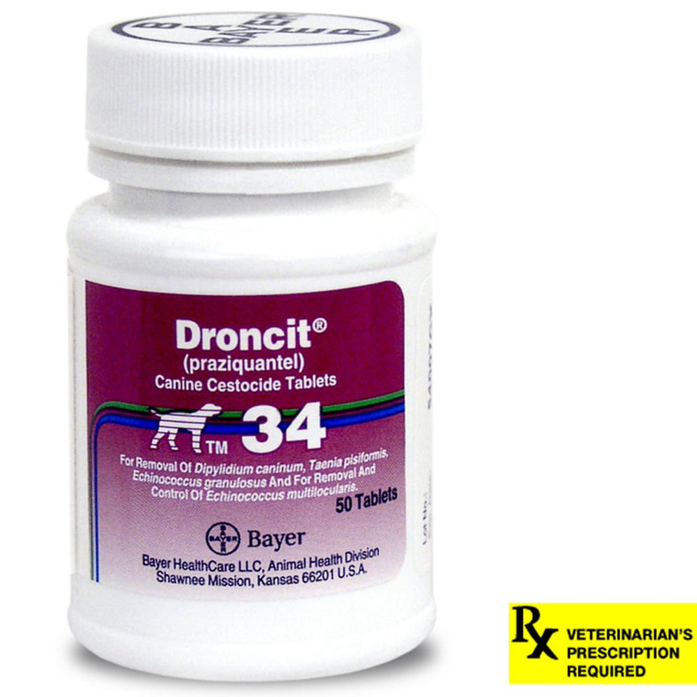 Rx Droncit for Dogs — LVS