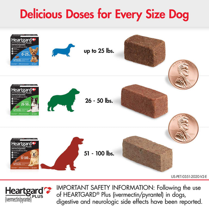 Rx Heartgard Plus (ivermectin/pyrantel) Monthly Chewables — Effective Heartworm & Parasite Prevention for Dogs Puppies - 012MAC03-51-100 - 51 - 100 lbs - 12 Month (12 Chews) - Beef - 8