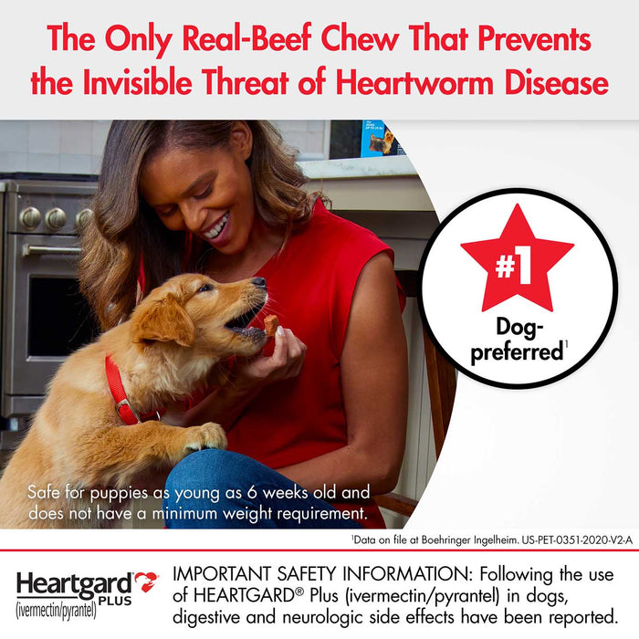 Rx Heartgard Plus (ivermectin/pyrantel) Monthly Chewables — Effective Heartworm & Parasite Prevention for Dogs Puppies - 012MAC03-51-100 - 51 - 100 lbs - 12 Month (12 Chews) - Beef - 4