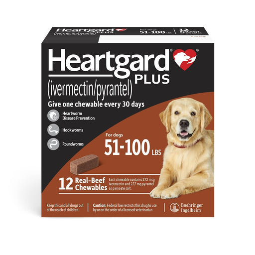 Rx Heartgard Plus (ivermectin/pyrantel) Monthly Chewables — Effective Heartworm & Parasite Prevention for Dogs Puppies - 012MAC03-51-100 - 51 - 100 lbs - 12 Month (12 Chews) - Beef - 1