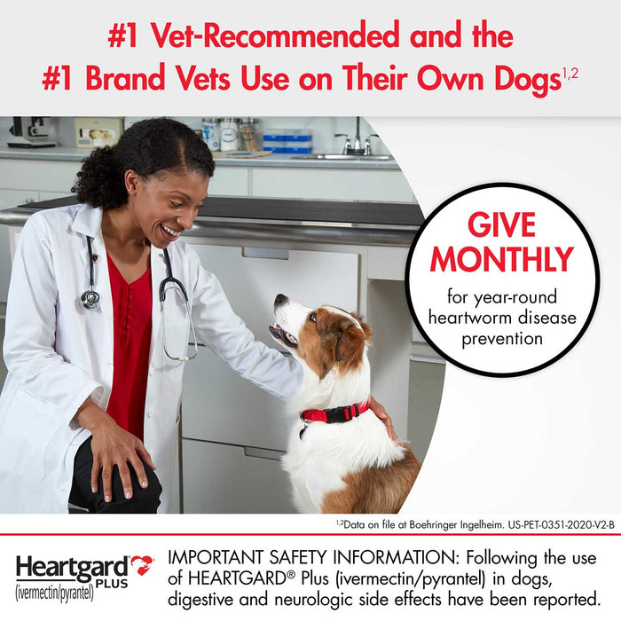 Rx Heartgard Plus (ivermectin/pyrantel) Monthly Chewables — Effective Heartworm & Parasite Prevention for Dogs Puppies - 012MAC03-51-100 - 51 - 100 lbs - 12 Month (12 Chews) - Beef - 5