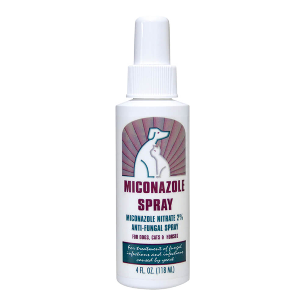 Rx Miconazole 2% Spray for Dogs, Cats and Horses, oz Bottle