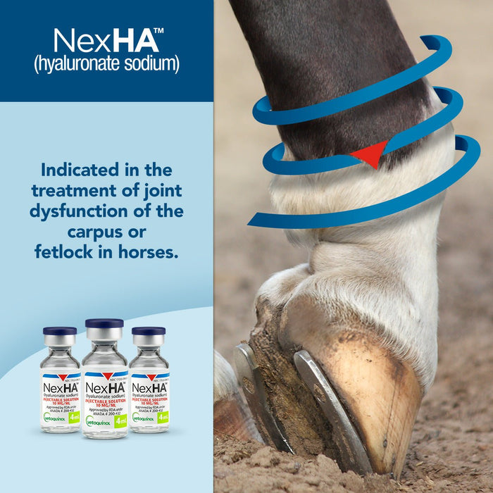 Rx NexHA Hyaluronate Sodium (Generic) Injectable Joint Treatment Solution for Horses - 012MID-313 - 4ml - 4