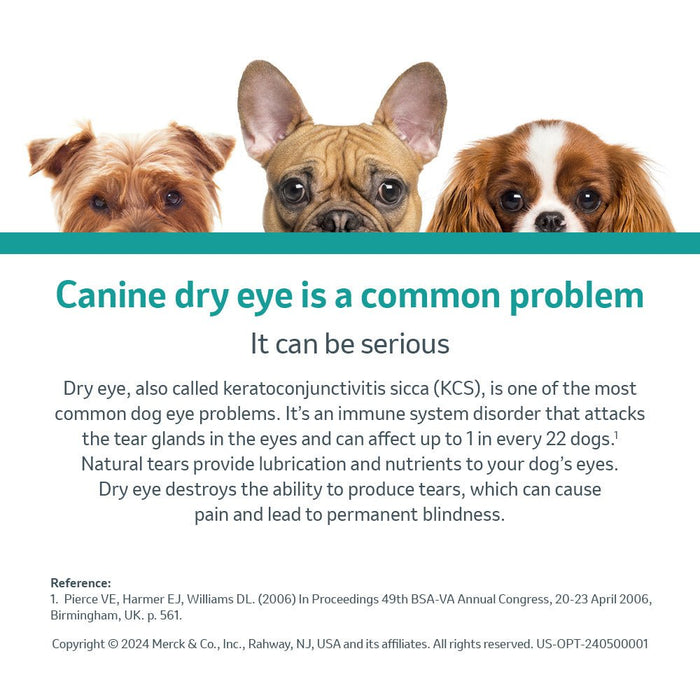 Rx Optimmune (cyclosporine) Opthalmic Ointment for Dogs, 3.5gm Tube - 012SCH09-3-5 - 4