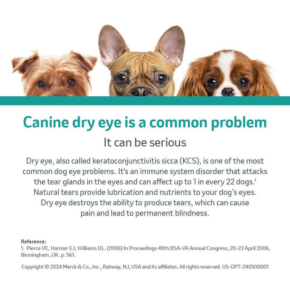 Rx Optimmune Ophthalmic Ointment for Dogs, 3.5gm Tube — Lambert Vet ...