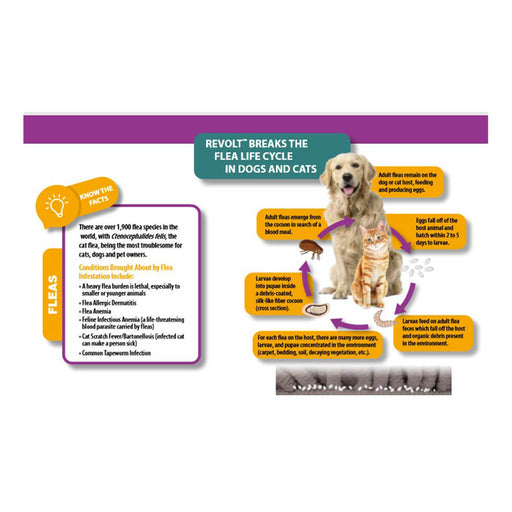 Rx Revolt (Selamectin) for Cats - 012AUR-09704 - 5.1 - 15 lbs - 3pk - 2