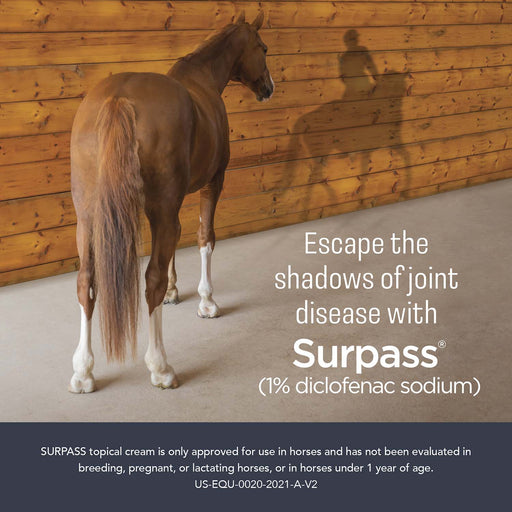 Rx Surpass (1% diclofenac sodium) Topical Cream for Horses, 124 gm/1 Tube - 012IDX01-124 - 2