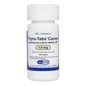Rx Thyro - Tabs (levothyroxine sodium) Tablets for Dogs - 012125-1.0MG-120 - 1.0 mg - 120 tablets - 23