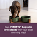 Rx Vetoryl (trilostane) Capsules for Dogs - 012DV833-20 - 20 mg - 30 capsules - 19