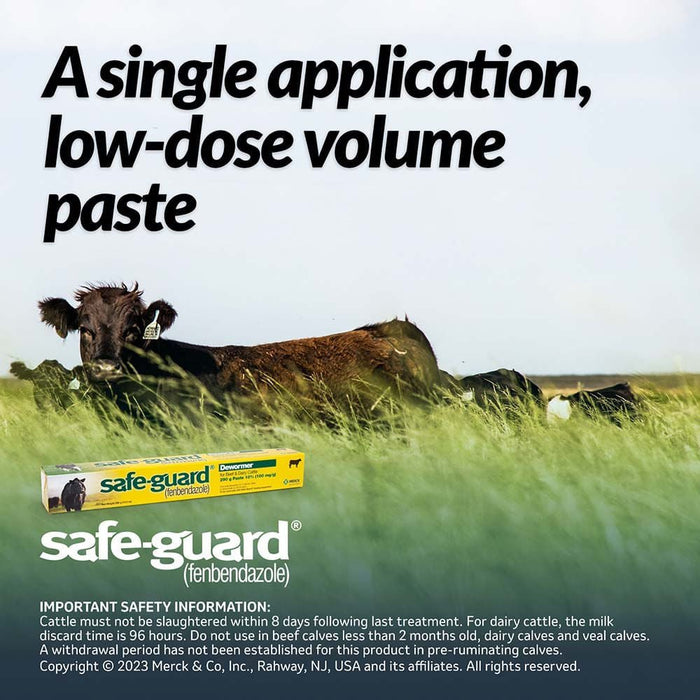 Safe - Guard Fenbendazole Beef & Dairy Cattle Dewormer Paste 10%, 290g – Broad - Spectrum Wormer - I6S4 - 290 g (10.2 oz) Wormer - 1 ct - 2