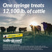 Safe - Guard Fenbendazole Beef & Dairy Cattle Dewormer Paste 10%, 290g – Broad - Spectrum Wormer - I6S4 - 290 g (10.2 oz) Wormer - 1 ct - 3