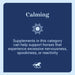 Seroquine Calming Support for Horses, Paste - SMADG - 80 mL - 3