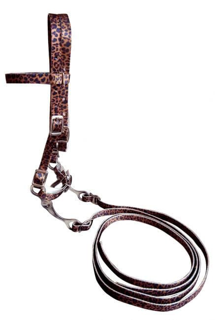 Showman Noseband Neck strap Tie Down- Pony Premium Nylon assorted colors