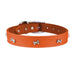 Signature Croco Collar - LY5X - Orange - 1"x 26" - Bag / Pouch - 4
