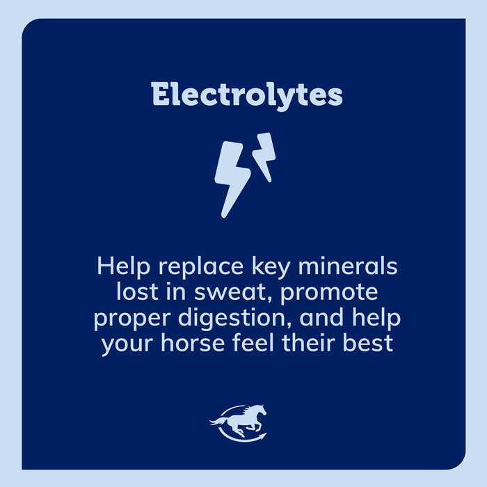 SmartEquine SmartLytes Electrolyte Paste for Horses - SMADS - 30 mL - 3