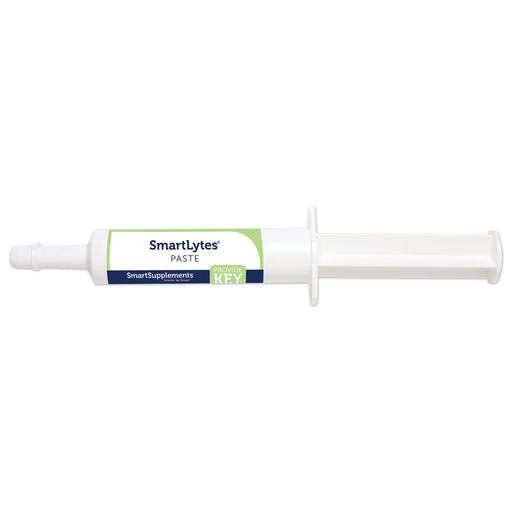 SmartEquine SmartLytes Electrolyte Paste for Horses - SMADS - 30 mL - 1