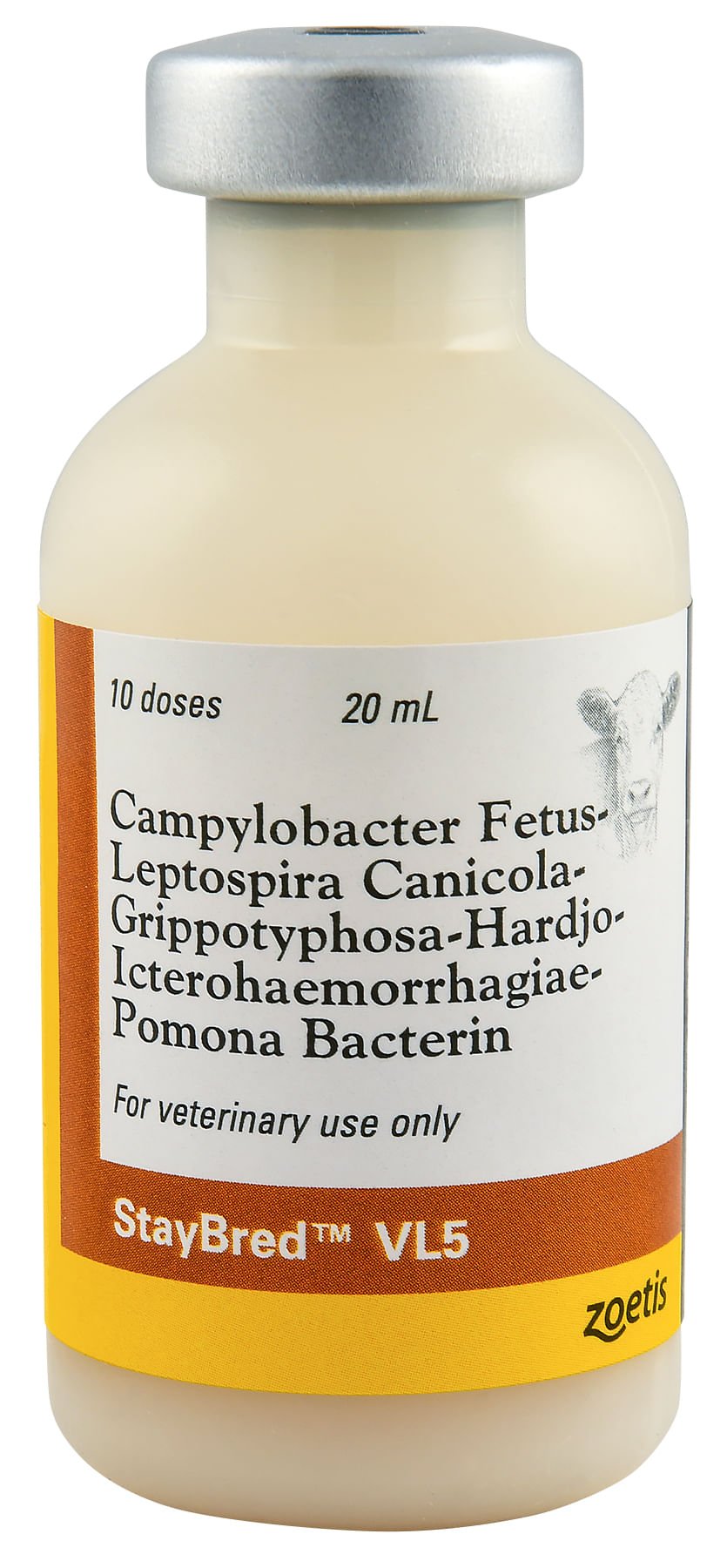 StayBred® VL5 Vaccine for Cattle — Lambert Vet Supplies