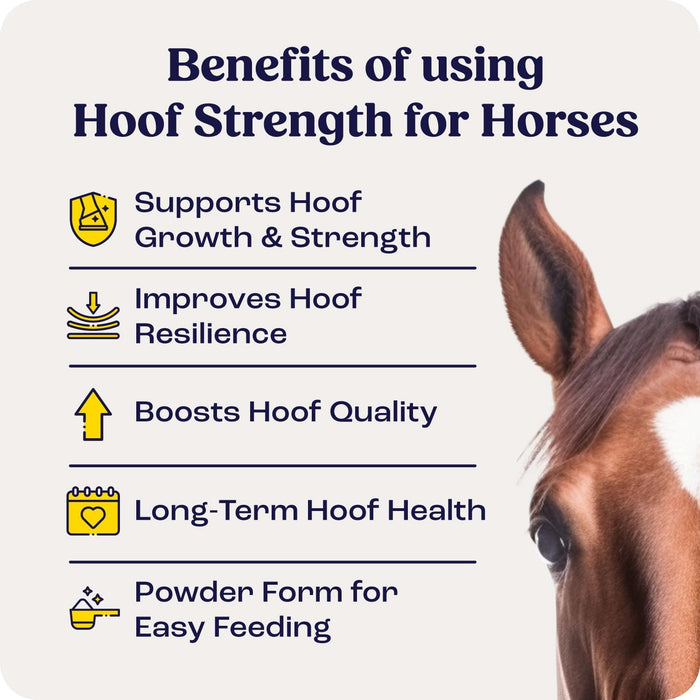 Summit Animal Health - Hoof Strength Powder for Horses, 9.1 oz - SAH1 - 9.1 oz - 30 Day Supply - 4