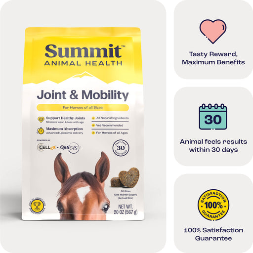 Summit Animal Health - Joint & Mobility Bites for Horses, 30 ct - SAH3 - 30 ct - 1 Month Supply - 2