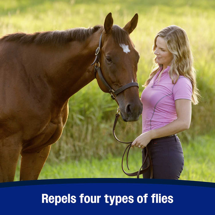 Swat Clear & Pink Fly Repellent Ointment for Horses, Ponies, & Dogs - FA1Q - Clear - 7 oz - 6