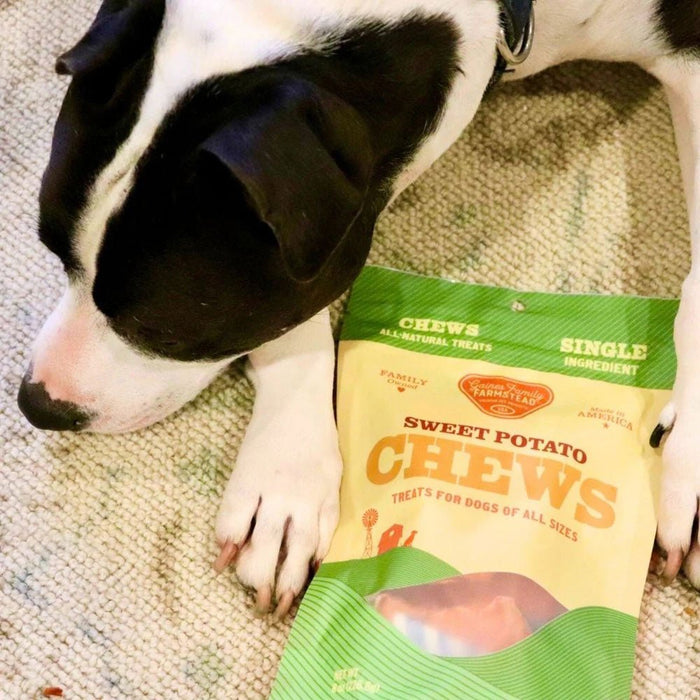 Sweet Potato Dog Chews – All Natural, Single Ingredient, Grain Free Treats for Dogs of All Sizes - GFF2 - 8 oz - Sweet Potato - 6