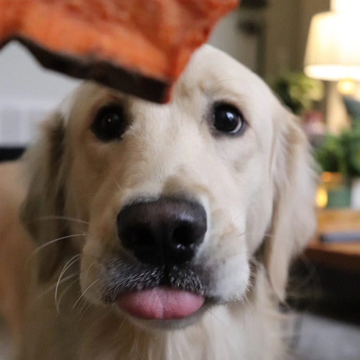 Sweet Potato Dog Chews – All Natural, Single Ingredient, Grain Free Treats for Dogs of All Sizes - GFF2 - 8 oz - Sweet Potato - 8